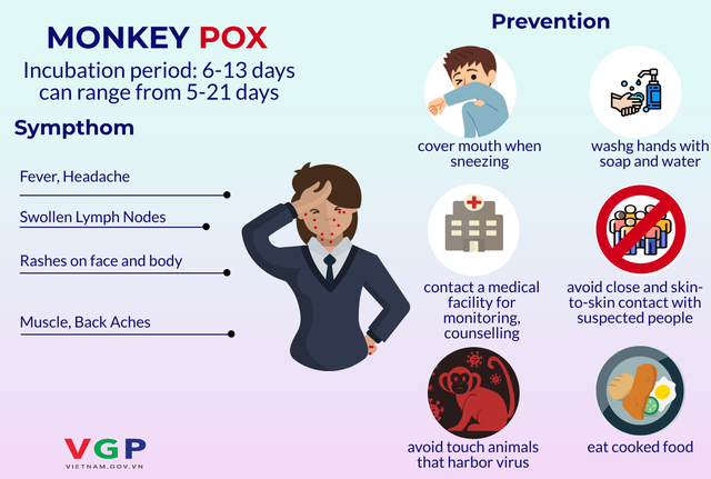 MoH ramps up monkeypox surveillance  - Ảnh 2.