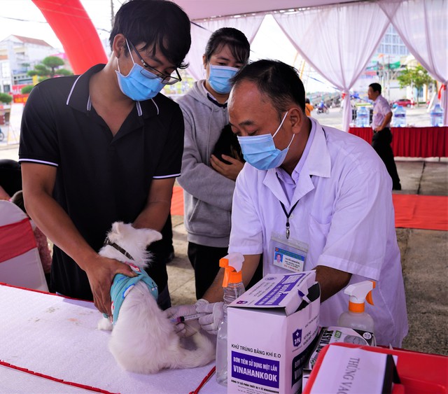 Viet Nam targets zero human deaths from rabies by 2030 - Ảnh 1.