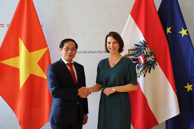 Austria vows to foster Viet Nam-EU, ASEAN-EU relations  - Ảnh 1.