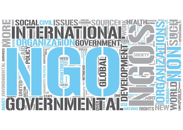 Conditions for granting registration certificates to foreign NGOs - Ảnh 1.
