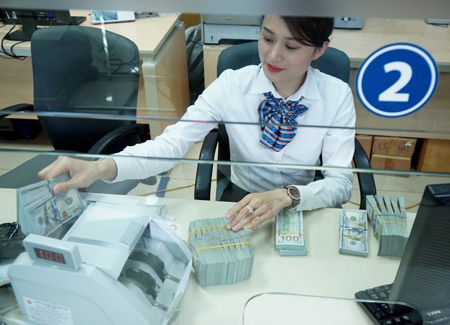 Overseas remittances to Viet Nam hit nearly US$ 19bln in 2022  - Ảnh 1.