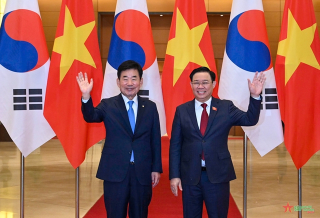 Viet Nam, RoK consolidate political trusts - Ảnh 1.