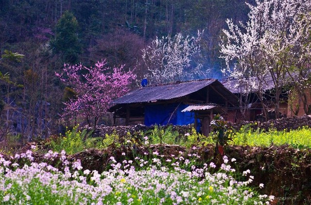 Ha Giang named among 52 destinations to visit in 2023 - Ảnh 1.