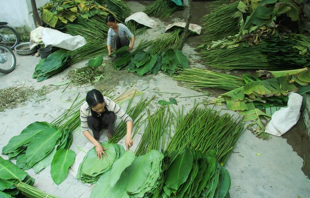 It is busy time in Trang Cat village, the capital of dong leaves - Ảnh 2.