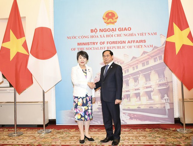 Vietnamese, Japanese Foreign Ministers hold talks  - Ảnh 1.