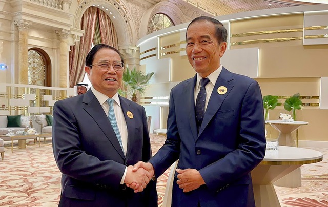 Viet Nam, Indonesia to accelerate ratification of EEZ demarcation agreement - Ảnh 1.