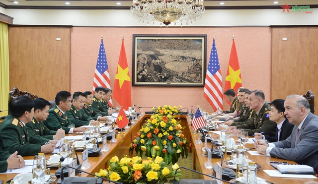 Viet Nam, U.S. achieve positive outcomes in defense cooperation  - Ảnh 1.