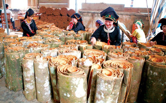 Viet Nam becomes biggest cinnamon exporter- Ảnh 1.