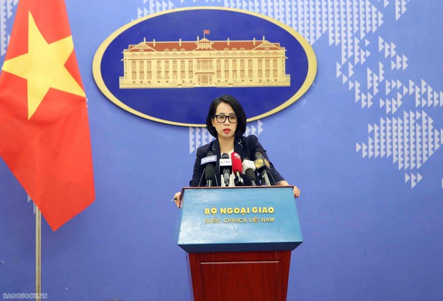 Viet Nam calls for achieving cease-fire in Gaza - Ảnh 1.