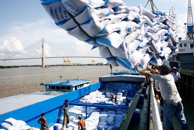 Viet Nam's rice export prices reach 15-year high- Ảnh 1.