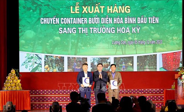 Viet Nam exports first batch of “Dien” pomelos to U.S.- Ảnh 1.