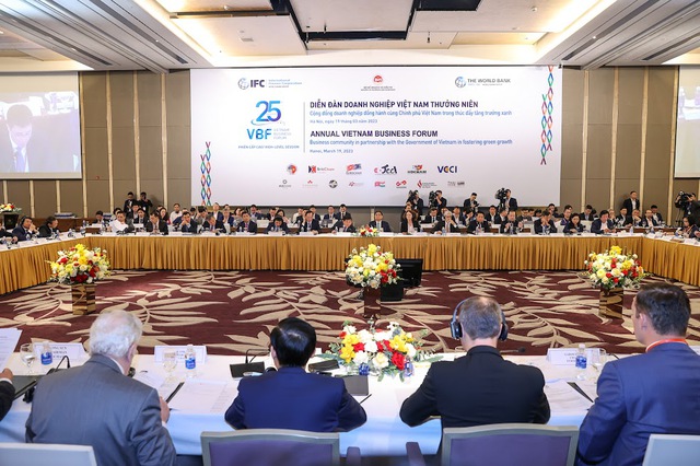 Viet Nam to promulgate policy to implement global minimum corporate tax - Ảnh 2.