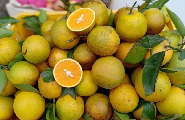 Vietnamese Cao Phong oranges available in UK - Ảnh 1.