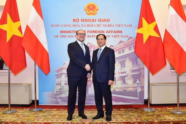 Viet Nam proposes Austria early ratify EVIPA - Ảnh 1.