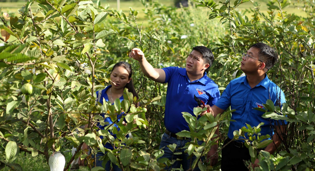 Japan helps Lai Chau’s young ethnic people to thrive  - Ảnh 1.