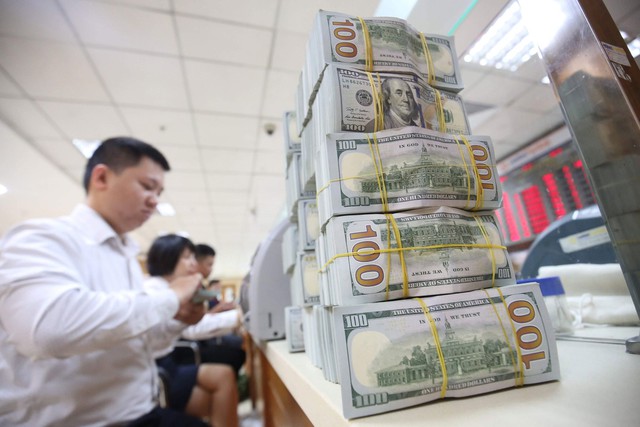 Viet Nam’s forex reserves to hit US$95 bln by year’s end: Moody forecast - Ảnh 1. Viet Nam’s forex reserves to hit US$95 bln by year’s end: Moody forecast - Ảnh 1.