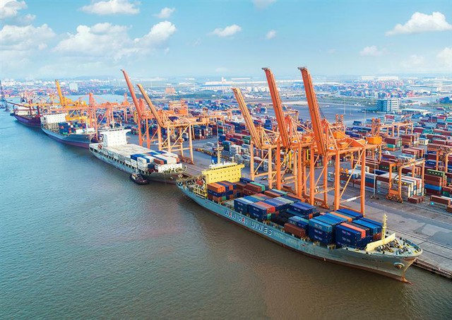 Cargo throughput via seaports nearly doubles in seven years  - Ảnh 1.