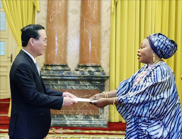 President hosts newly-accredited ambassadors - Ảnh 7.