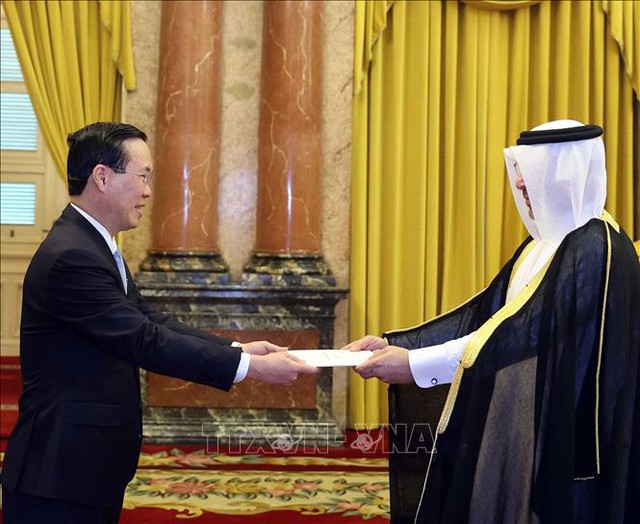 President hosts newly-accredited ambassadors - Ảnh 1.