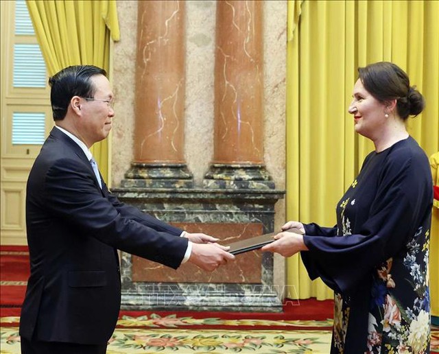 President hosts newly-accredited ambassadors - Ảnh 4.