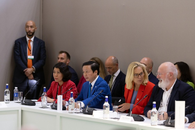 Governments need to further facilitate private sector's engagement in renewable energy - Ảnh 1.