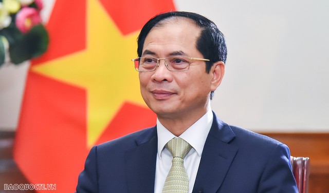 Foreign Minister embarks on official visit to Singapore - Ảnh 1.