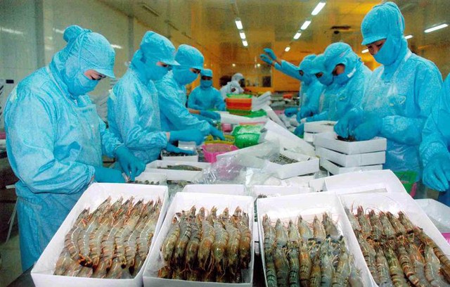 Viet Nam becomes world’s second largest shrimp exporter - Ảnh 1.