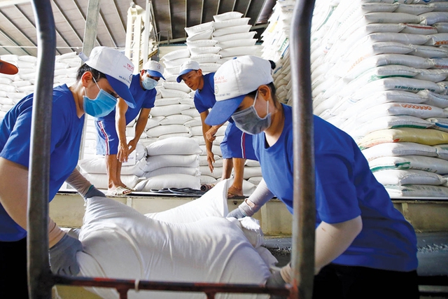 Viet Nam remains biggest rice provider for Philippines - Ảnh 1.