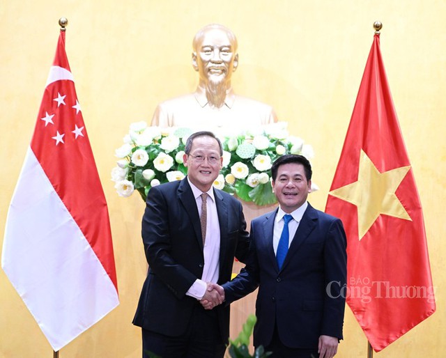 Minister of Industry and Trade holds talks with Singaporean counterpart  - Ảnh 1.