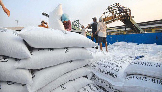 Viet Nam seizes unprecedented rice export opportunities - Ảnh 1.