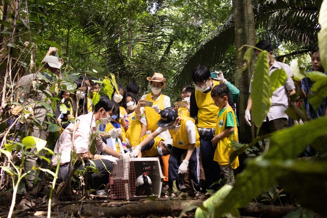 Cuc Phuong remains as Asia's Leading National Park - Ảnh 1.