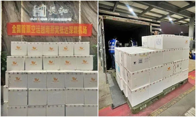 First Vietnamese bird’s nest batch exported to China by air- Ảnh 1.