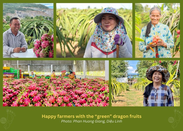 UNDP helps promote sustainable dragon fruit farming in Binh Thuan - Ảnh 1.