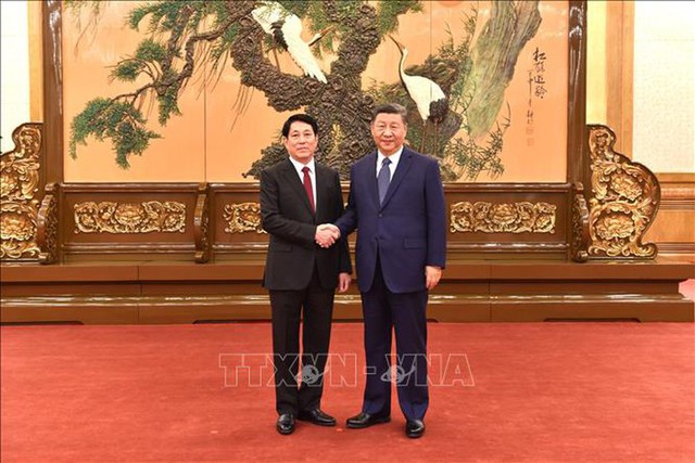 Politburo member Luong Cuong meets top Chinese leader Xi Jinping- Ảnh 1.