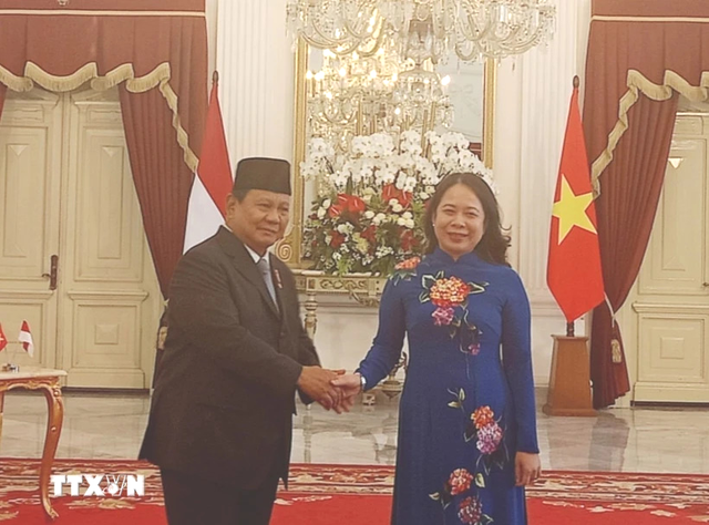 Vice President meets top Indonesian leader- Ảnh 1.