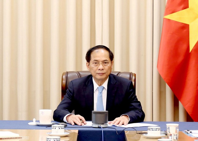 Deputy PM Bui Thanh Son holds phone conversation with Japanese Foreign Minister- Ảnh 1.