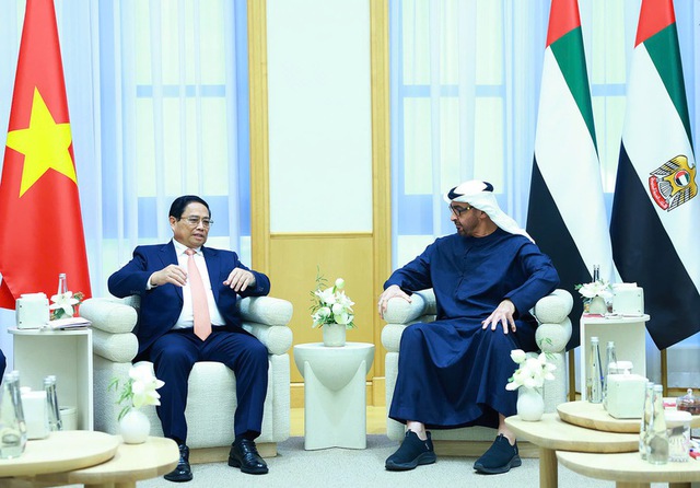 UAE becomes Viet Nam's first comprehensive partner in Middle East- Ảnh 1.