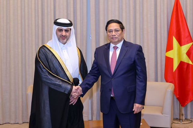 Prime Minister calls on Qatar Investment Authority to increase investments in Viet Nam- Ảnh 1.