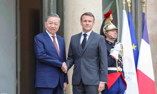 Viet Nam, France elevate ties to comprehensive strategic partnership- Ảnh 1.