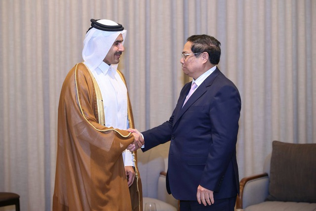 Viet Nam expects to beef up labor and energy cooperation with Qatar- Ảnh 2.