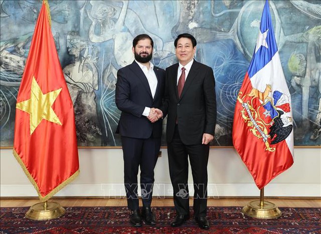 Vietnamese, Chilean Presidents hold talks- Ảnh 1.