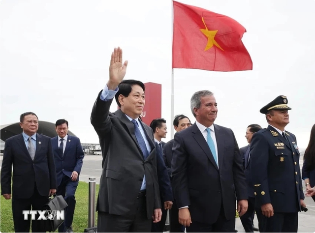 President starts official visit to Peru- Ảnh 1.