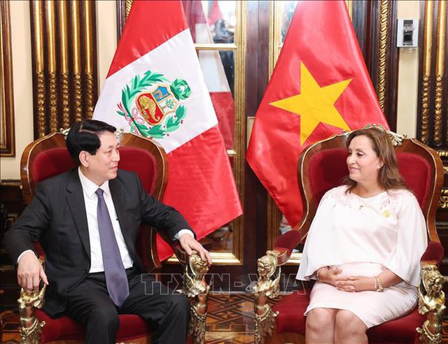 Vietnamese, Peruvian Presidents hold talks in Lima- Ảnh 1.