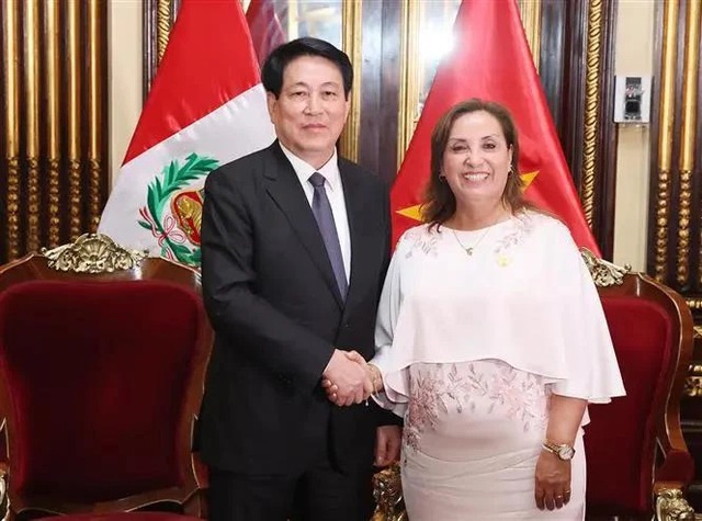 Viet Nam, Peru issue Joint Declaration- Ảnh 1.