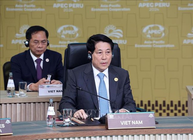 President attends APEC Leaders' Informal Dialogue with Guests in Lima- Ảnh 1.