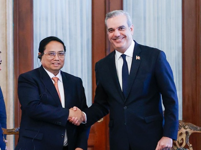 Prime Minister Pham Minh Chinh holds talks with Dominican President- Ảnh 1.