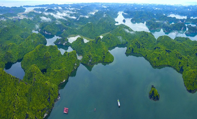 Cat Ba archipelago world biosphere reserve in Hai Phong city is considered to be the area with the richest biodiversity in Viet Nam