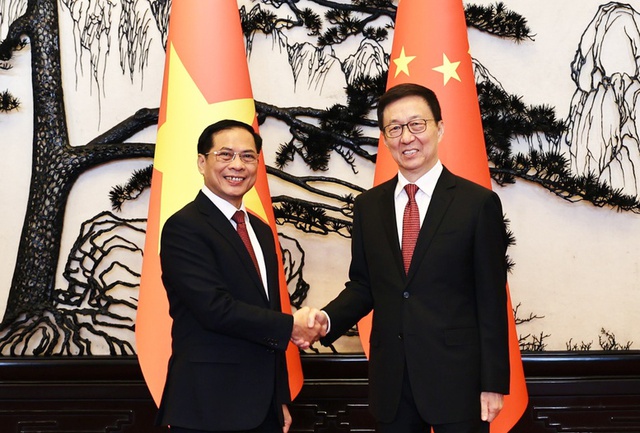 Deputy Prime Minister meets Chinese Vice President - Ảnh 1.