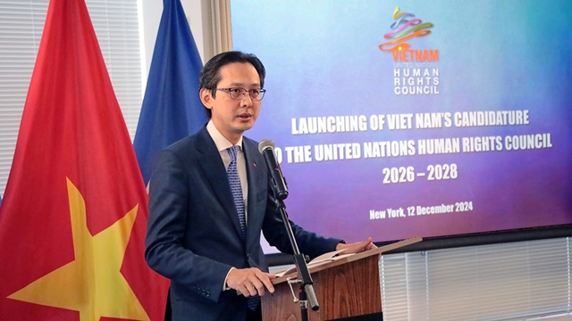 Viet Nam announces bid for candidacy of UN Human Rights Council in 2026-2028 term- Ảnh 1.