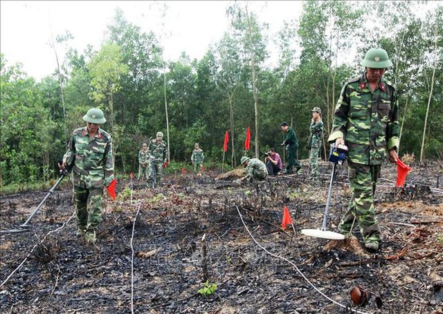 Japan provides mine detection equipment worth ¥500 million for Viet Nam- Ảnh 1.